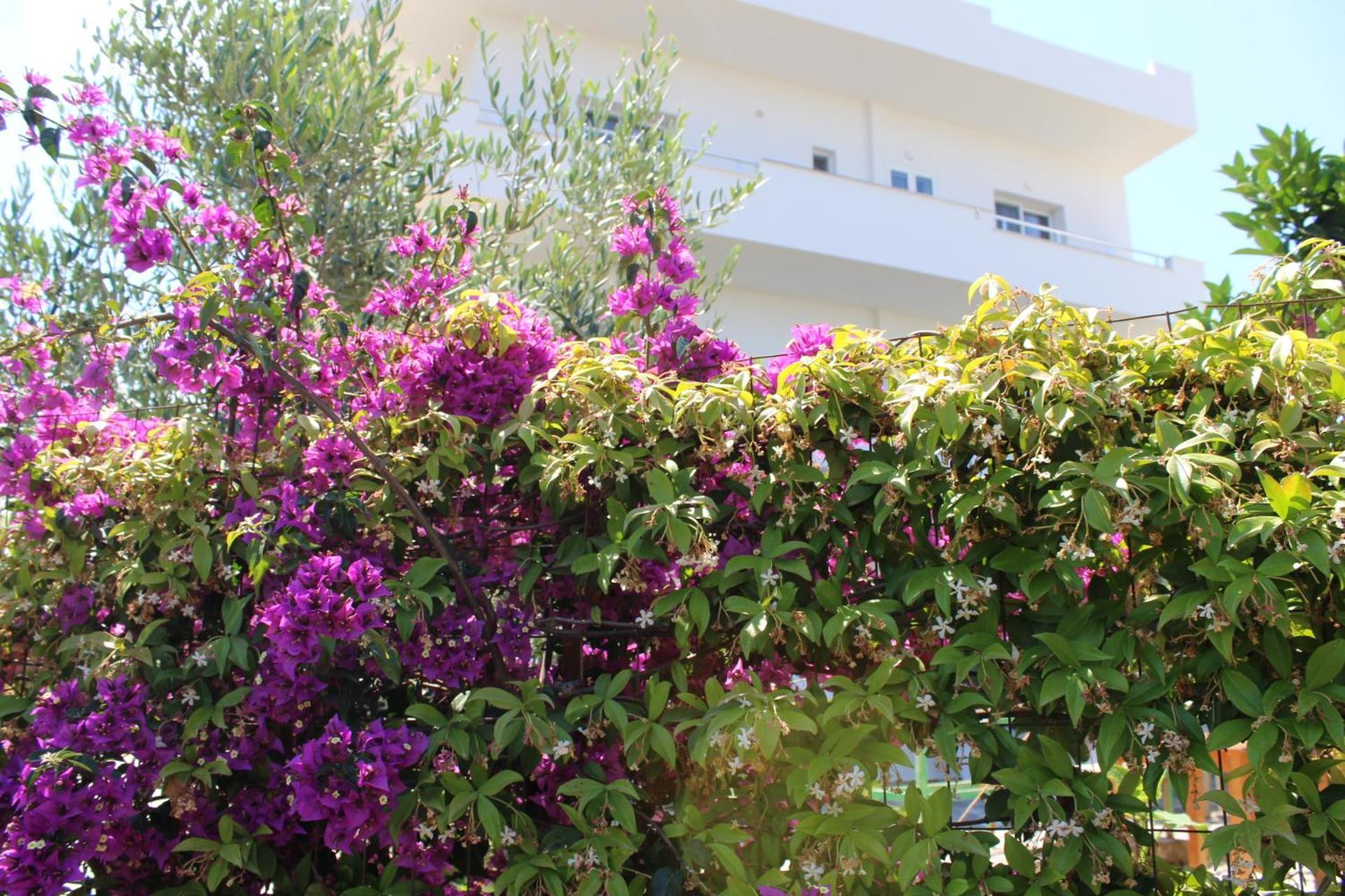 Seli'S Villa Ksamil Bagian luar foto